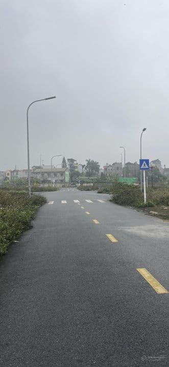 Bán lô đất X1 Đông Hộ 80m2 Mt 5m trục đường 40m nối Vin Cổ Loa - Cầu Tứ Liên giá rẻ thương lượng - ảnh 2