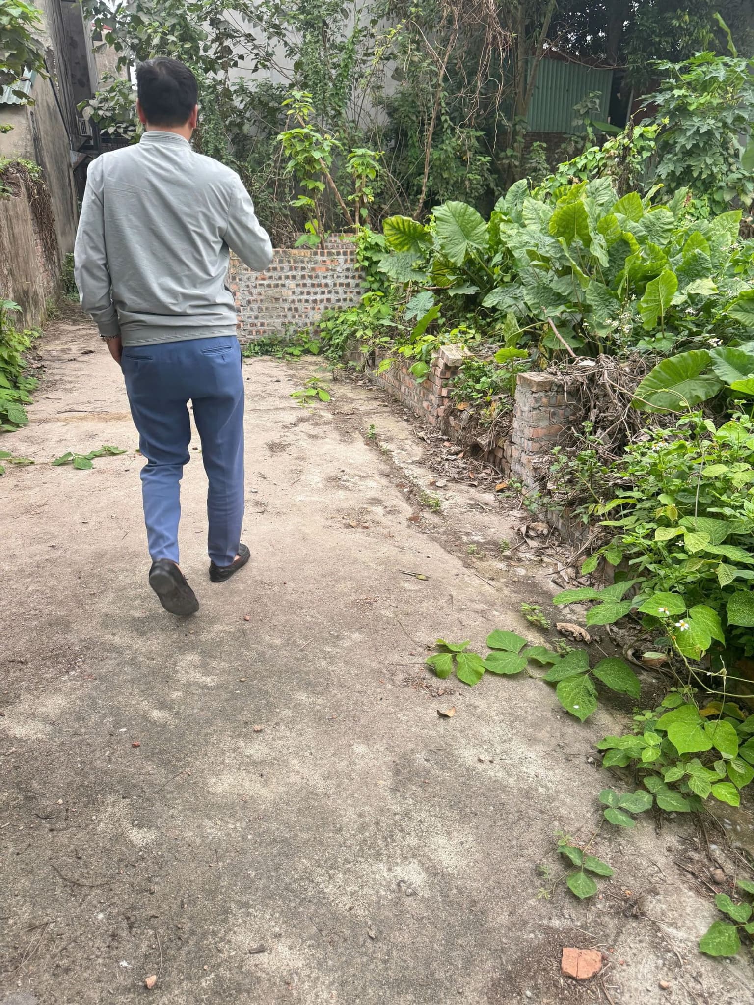 BÁN ĐẤT ĐẸP TRUNG THÔN – ĐÔNG HỘI – ĐÔNG ANH